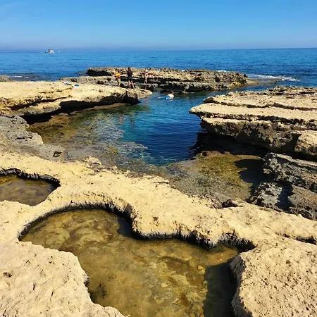 Campello * אל קאמפיו